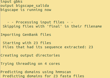 BiG-SCAPE example terminal